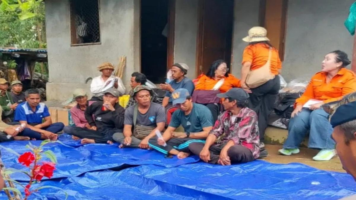 Lalat Buah Hantui Kebun Jeruk Payangan, Produksi Turun hingga 30 Persen