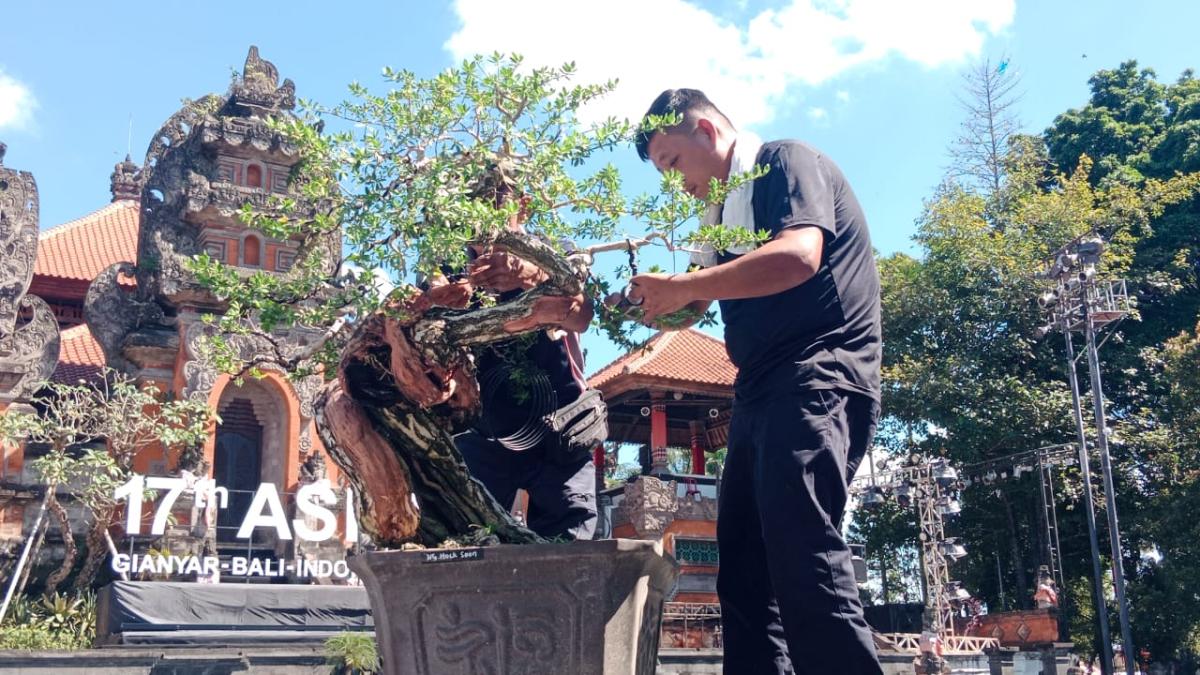 Master Bonsai International Pertontonkan Cara Membuat Bonsai Di ASPAC Gianyar 2025