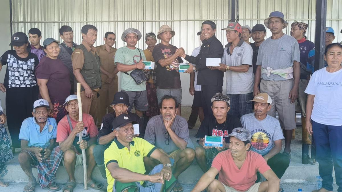 Puluhan Hektar Tanaman Padi Diserang Hama Tikus, Petani Terancam Gagal Panen