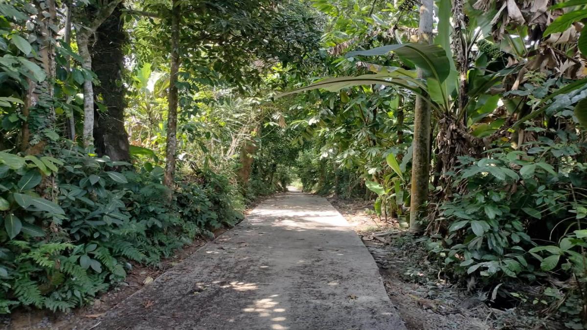 Rabat Beton Jalan Subak Abian Swanpadonjali Tuntas 100 Persen, Bukti Komitmen Desa Taro Majukan Pertanian